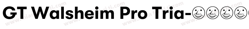 GT Walsheim Pro Tria字体转换